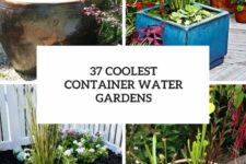 37 coolest container water gardens cover