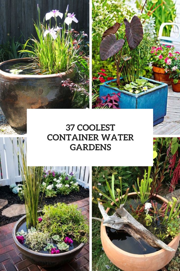 coolest container water gardens cover