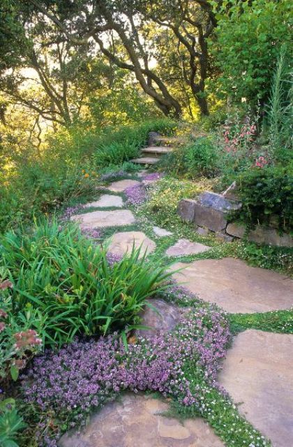 A beautiful and peaceful garden with a rough stone path, with greenery and purple blooms in between these stones, with plants around the path