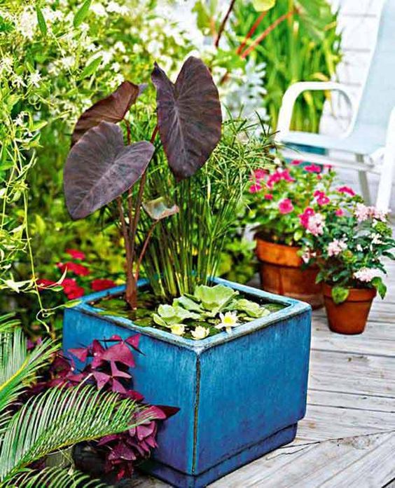 a blue square planter with water lilies, leaves and tall plants is a bold and catchy idea to rock in your garden