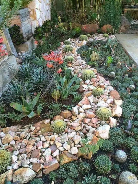 a bold desert garden with rocks and cacti in them, agaves and succulents is a stylish and catchy solution with a boho feel