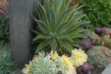 a bold succulent garden with oversized succulents and agaves in light and bold green, light yellow and purple pieces is a very catchy didea
