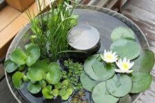 a container water garden with some water greenery and blooms is a lovely solution for a modern space, it looks nice