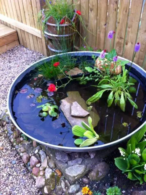 a cool mini pond with rocks, greenery and bright blooms looks very cool and bright and still is all about Zen