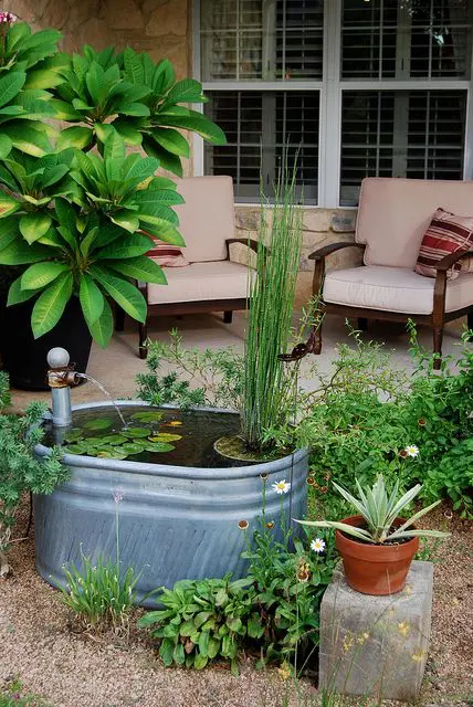 a galvanized stock tank water garden with water plants and a small fountain is a stylish and cool idea for a rustic space
