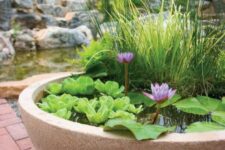 a large planter as a mini pond with greenery and water lilies is a cool idea for a modern garden with color