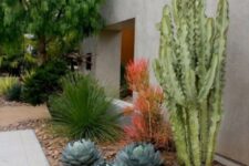 a large post cactus is combined with large round succulents and agaves around