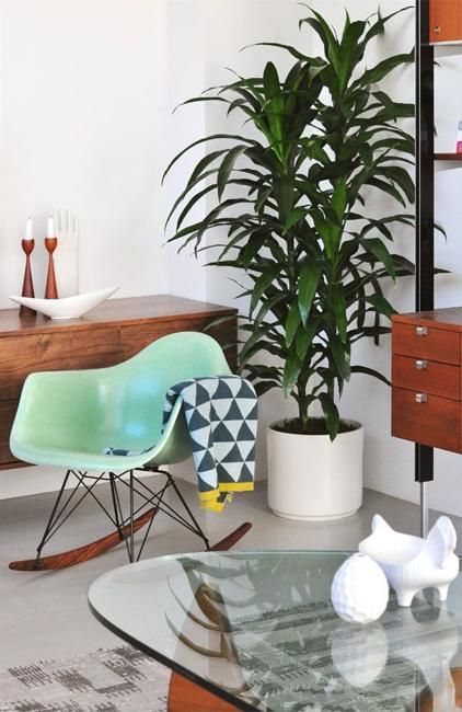 a mid-century modern living room with stained furniture, a glass coffee table, a mint-colored Eames chair and a potted plant