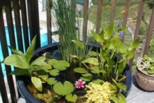 a mini pond in a dark plastic tub, with greenery, cane and some bright blooms floating on the water surface