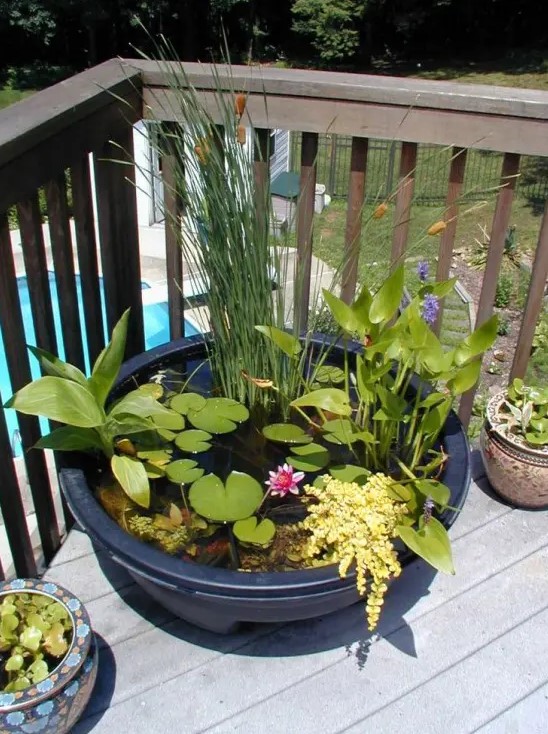 a mini pond in a dark plastic tub, with greenery, cane and some bright blooms floating on the water surface