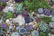 a pretty and bright succulent garden with rocks and pebbles, pale green, bright green and purple succulents is a very interesting space
