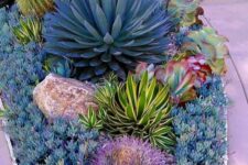 a pretty and cool succulent garden with little succulents, a large rock, some large cacti and oversized agaves is super cool