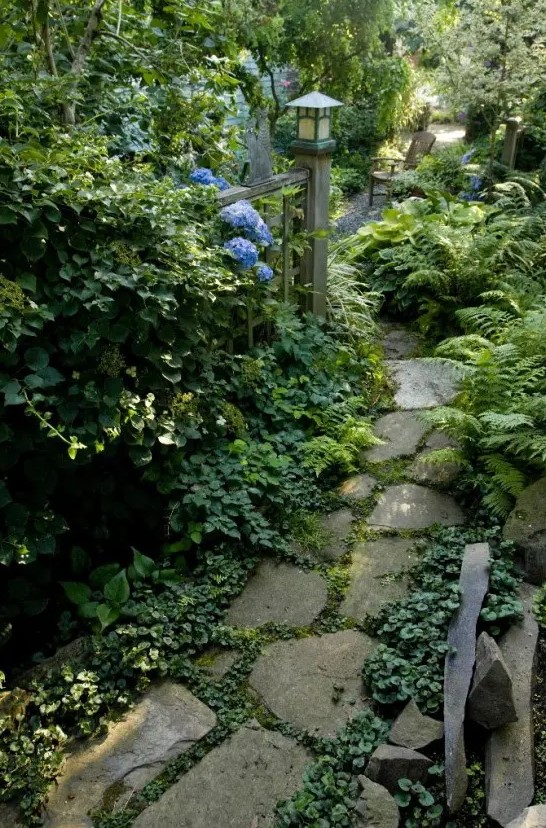 A relaxed stone garden path with greenery in between and lush foliage growing around for a calming look
