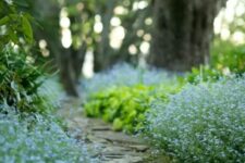 a rough and relaxed garden pathway is amazing for creating a light and natural feeling in your garden