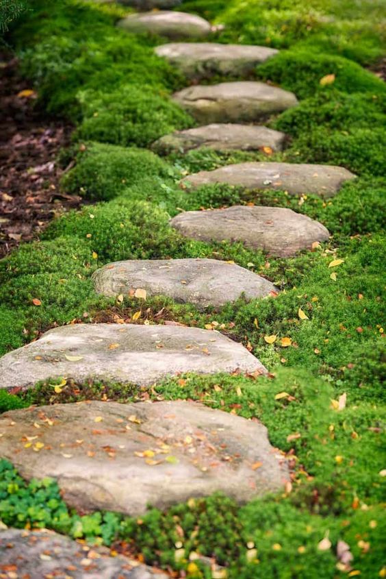 a simple stone garden path drowning in lush greenery is a cool idea for a garden that feels like a fairy-tale