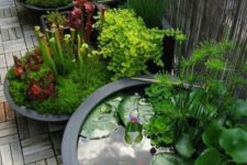 a small pond with floating plants and some fish plus matching containers used as planters create a unified look