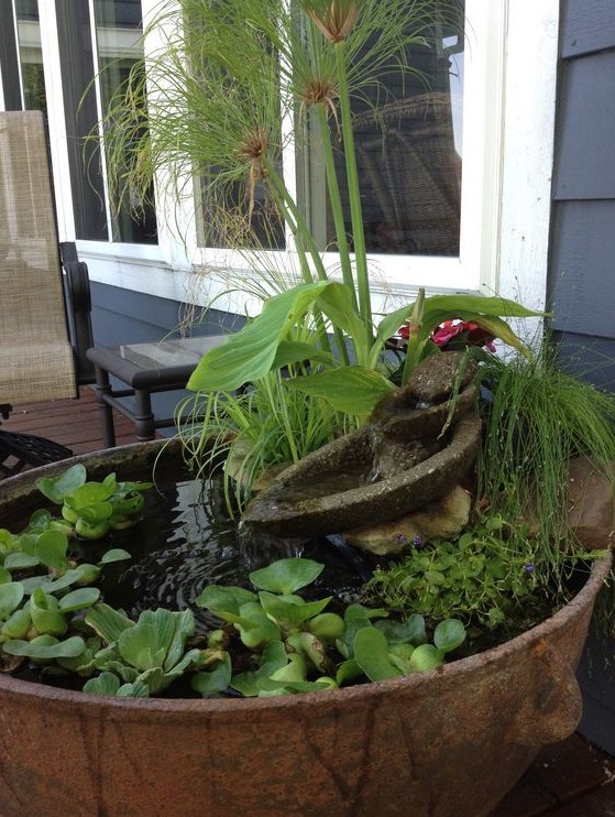 a stone bowl mini pond with floating greenery, a stone mini fountain and more water plants is lovely