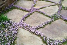 a stone garden path with lilac blooms in between to higlight the stones and contrast them