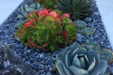 a stylish front yard garden with pebbles and rocks, pale green and bold green plus red succulents is an amazing and chic idea