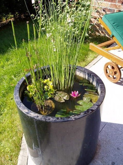 a tall ceramic vessel in black used as a containter pond with water lilies and other plants is great for a modern space