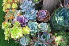 a lovely way to decorate space around a tree with succulents