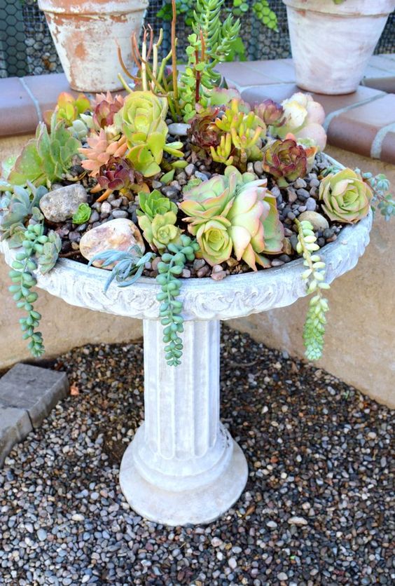 a vintage stone bathtub with pebbles, light green, pale green and brown succulents is an amazing decor idea to rock