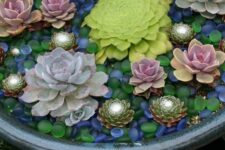 accent your succulents in containers with colorful glass pebbles like these ones