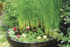 an old barrel with floating plants and blooms and tall grasses for a rustic and natural feel in your backyard