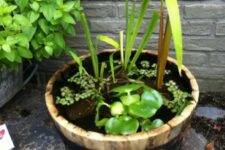 an old barrel with water plants is a simple and rustic decor idea for outdoors