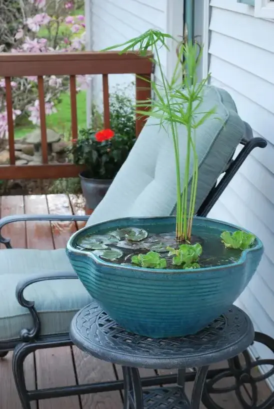 an oversized blue porcelain planter as a mini pond, with greenery and some water plants for natural decor