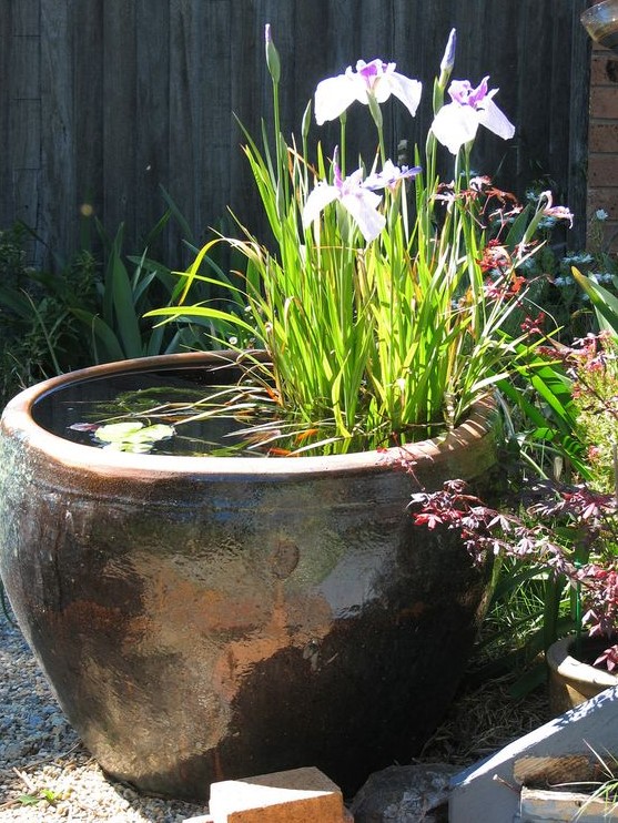 an oversized porcelain planter water garden with greenery and bright blooms is a stylish statement idea for a garden