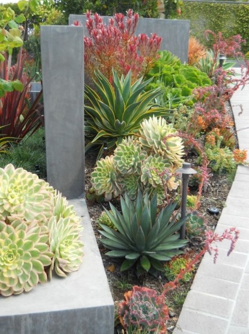 bold and chic succulents combined with agaves in various shades of green and yellow