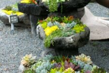 bright yellow and green succulents, cacti and agaves are amazing to add a colorful touch