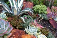 go for large agaves as show-stoppers, add smaller succulents in various colors and textures