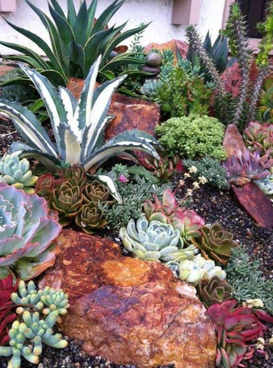 large and bold rocks with pale and neutral succulents make up a cool and catchy desert garden