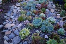 mix up various succulents with larger and smaller pebbles and rocks for a more natural landscape
