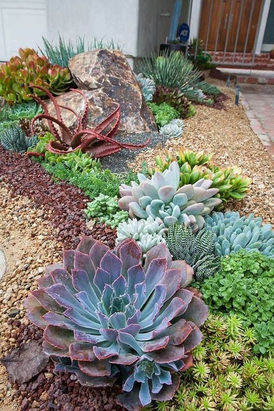 plant oversized and bright succulents as centerpieces and rock smaller and paler pieces around