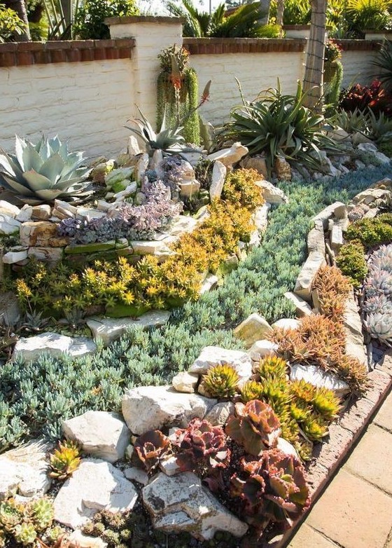rows of colored succulents and agaves paired with rows of rocks and pebbles are a cool idea for any desert garden