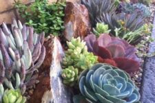 statement green, purple and burgundy succulents paired with large rocks and smaller pebbles are a great combo for a garden