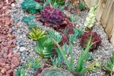 succulents come in many various colors, from various shades of green to burgundy and grey