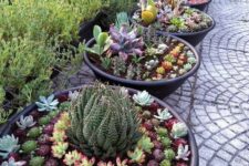 a lovely container gardens