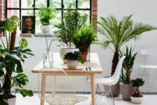 a modern dining space with a stained table, neutral Eames wire chairs and lots of potted greenery is very welcoming