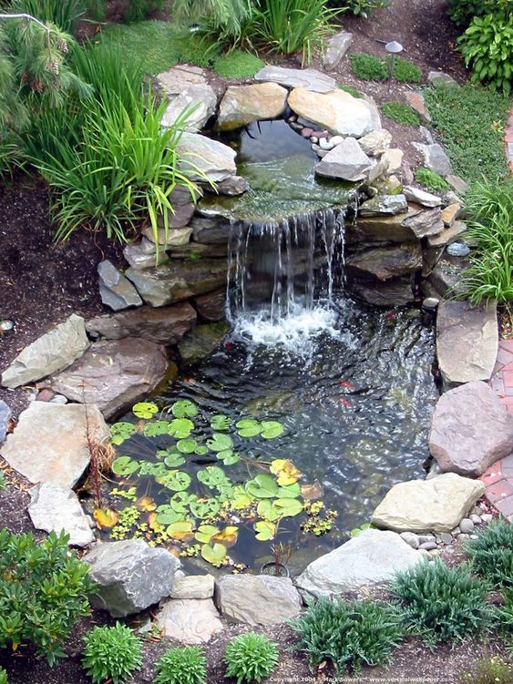 a small and cool pond and waterfall both clad with rocks, with water plants are amazing for a garden