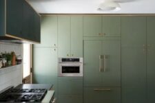 a stylish olive green kitchen design