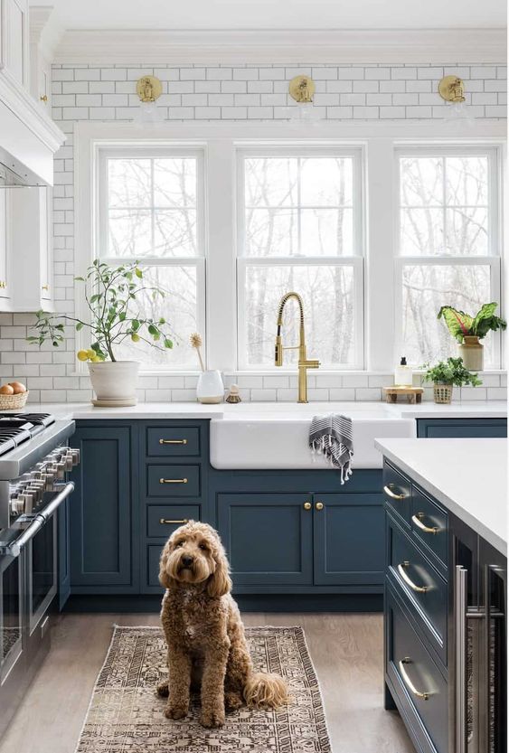 a farmhouse kitchen with white subway tiles, navy shaker cabinets, white countertops and potted plants