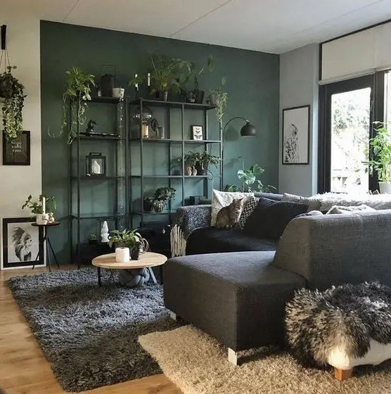a bold living room with a dark green accent wall, a storage unit, a black and grey sectional, some pollows and lot sof plants