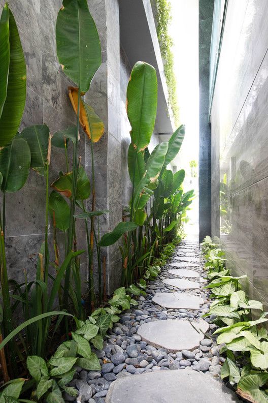 a chic narrow side yard with pebbles and stepping stones, greenery and tropical plants looks very stylish and modern