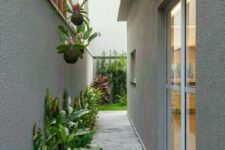 a laconic modern side yard with a concrete pathway, greenery and potted blooms is a stylish idea for a modern space
