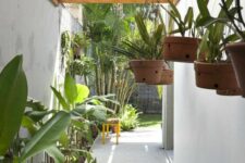 a minimalist side yard with a terrazzo pathway, tropical plants and some plants hanging in pots is amazing