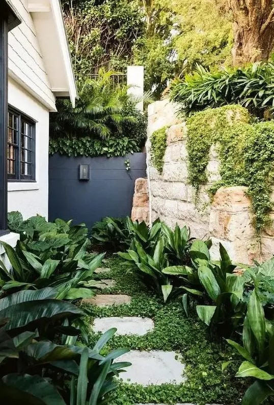 a small modern side yard nook with greenery, some lush tropical shrubs on both sides of the pavement